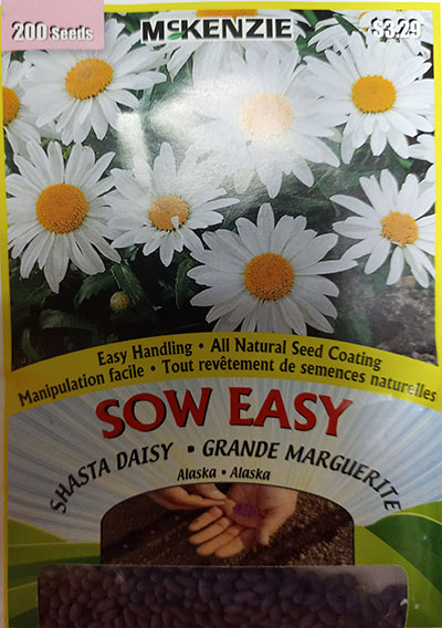 Grande Marguerite ‘Alaska’ Sow Easy / ‘Alaska’ Shasta Daisy Sow Easy - Pépinière