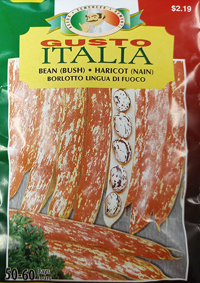 Haricot Nain ‘Borlotto Lingua Di Fuoco’ Gusto Italia / ‘Borlotto Lingua Di Fuoco’ Dwarf Bean Gusto Italia - Pépinière