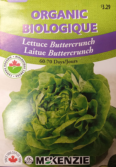 Laitue ‘Buttercrunch’ Biologique / ‘Buttercrunch’ Lettuce Organic - Pépinière
