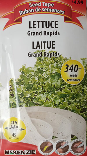 Laitue ‘Grand Rapids’ 340+ semences / ‘Grand Rapids’ Lettuce 340+ seeds - Pépinière