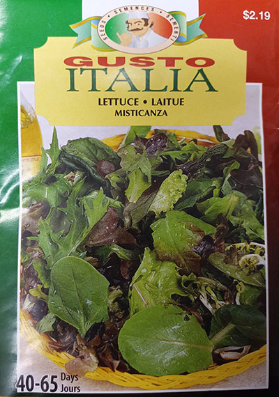 Laitue Misticanza Gusto Italia / Misticanza Lettuce Gusto Italia - Pépinière