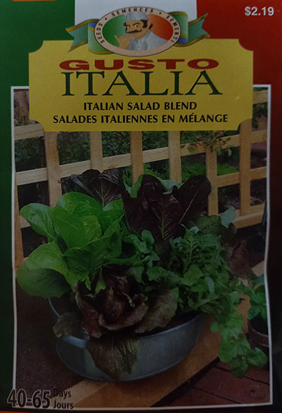 Mélange ‘Salades Italiennes’ Gusto Italia / ‘Italian Salad’ Mix Gusto Italia - Pépinière
