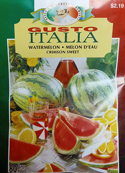 Melon d’Eau ‘Crimson Sweet’ Gusto Italia / ‘Crimson Sweet’ Watermelon Gusto Italia - Pépinière