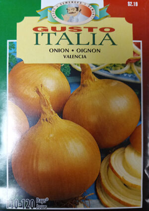 Oignon ‘Valencia’ Gusto Italia / ‘Valencia’ Onion Gusto Italia - Pépinière