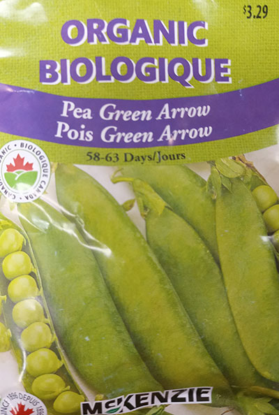 Pois ‘Green Arrow’ Biologique / ‘Green Arrow’ Pea Organic - Pépinière