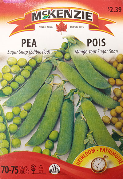 Pois Mange-Tout ‘Sugar Snap’ / ‘Sugar Snap’ Pea (Edible Pod) - Pépinière