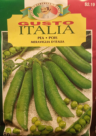 Pois ‘Meraviglia d’Italia’ / ‘Meraviglia d’Italia’ Pea - Pépinière