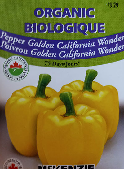 Poivron ‘Golden California Wonder’ Biologique / ‘Golden California Wonder’ Sweet Pepper Organic - Pépinière