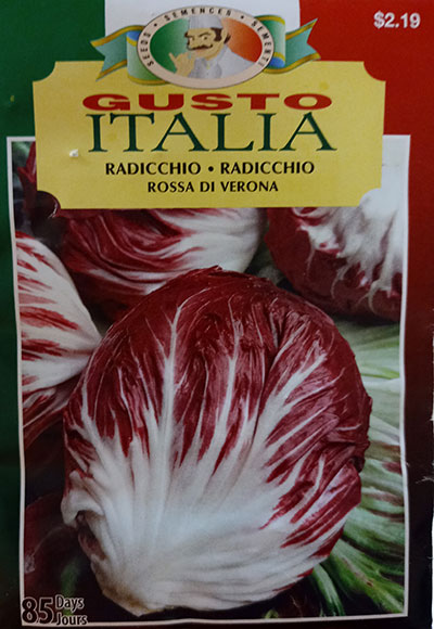 Radicchio ‘Rossa Di Verona’ Gusto Italia / ‘Rossa Di Verona’ Radicchio Gusto Italia - Pépinière