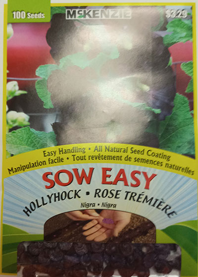 Rose Trémière ‘Nigra’ Sow Easy  / ‘Nigra’ Hollyhock Sow Easy - Pépinière