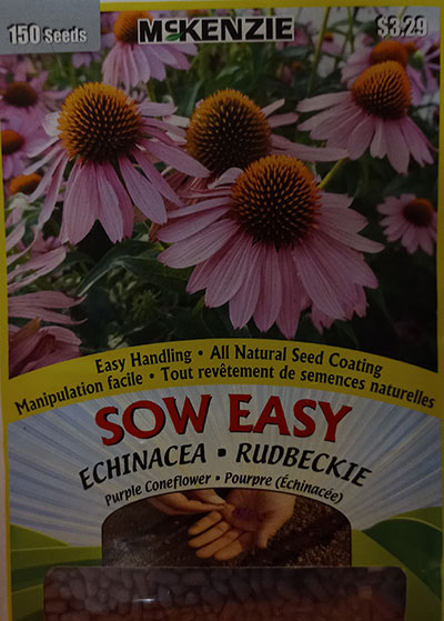 Rudbeckie Pourpre Sow Easy  / Purple Coneflower Echinacea Sow Easy - Pépinière