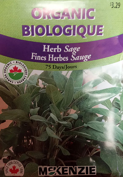 Sauge Biologique / Sage Organic - Pépinière