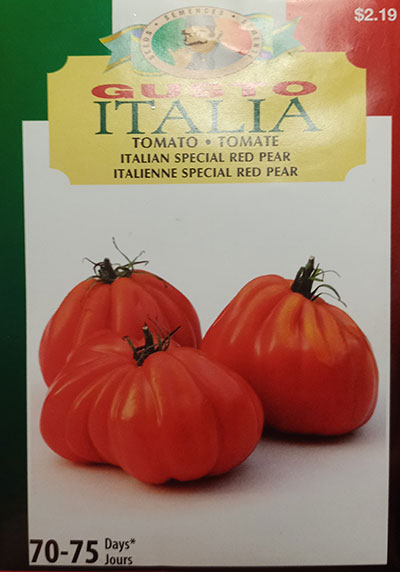 Tomate Italien ‘Special Red Pear’ Gusto Italia / ‘Special Red Pear’ Italian Tomato Gusto Italia - Pépinière