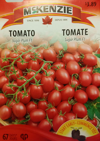 Tomate ‘Sugar Plum’ F1 / ‘Sugar Plum’ Tomato F1 - Pépinière