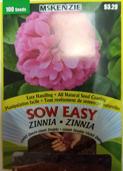 Zinnia ‘Violet Queen Giant Double’ Sow Easy / ‘Violet Queen Giant Double’ Zinnia Sow Easy - Pépinière