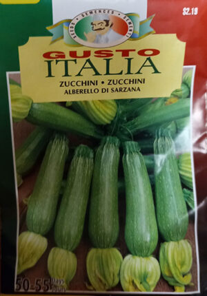 Zucchini ‘Alberello di Sarzana’ Gusto Italia / ‘Alberello di Sarzana’ Zucchini Gusto Italia - Pépinière