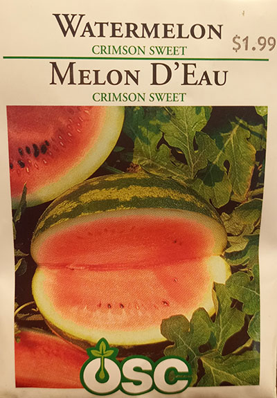 Melon d’Eau ‘Crimson Sweet’ / ‘Crimson Sweet’ Watermelon - Pépinière
