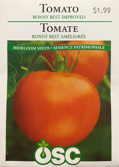 Tomate ‘Bonny Best Améliorée’ / ‘Bonny Best Improved’ Tomato - Pépinière