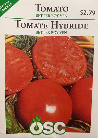 Tomate Hybride ‘Better Boy VFN’ / ‘Better Boy VFN’ Hybrid Tomato - Pépinière