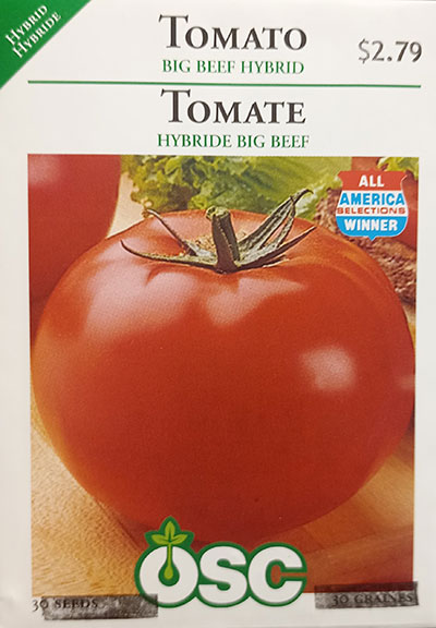 Tomate Hybride ‘Big Beef’ / ‘Big Beef’ Hybrid Tomato - Pépinière