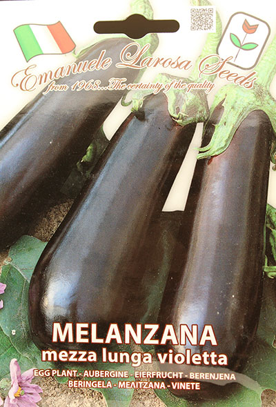 Aubergine ‘Mezza Lunga Violet’ / ‘Mezza Lunga Violet’ Eggplant - Pépinière