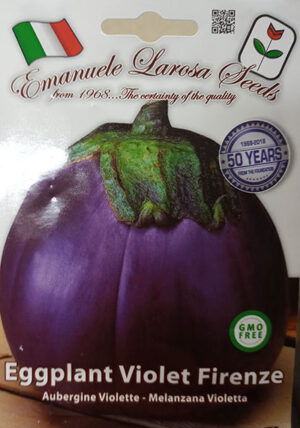 Aubergine ‘Violetta Di Firenze’ / ‘Violetta Di Firenze’ Eggplant - Pépinière