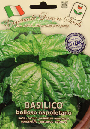 Basilic ‘Bolloso Napoletano’ / ‘Bolloso Napoletano’ Basil - Pépinière