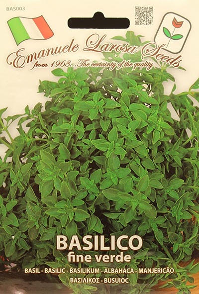Basilic Sicilien ‘Fine Verde’ / ‘Fine Verde’ Sicilian Basil - Pépinière