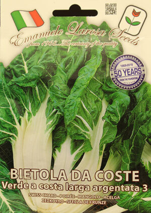 Bette à Carde ‘Costa Verde Argentata 3’ / ‘Costa Verde Argentata 3’ Swiss Chard - Pépinière