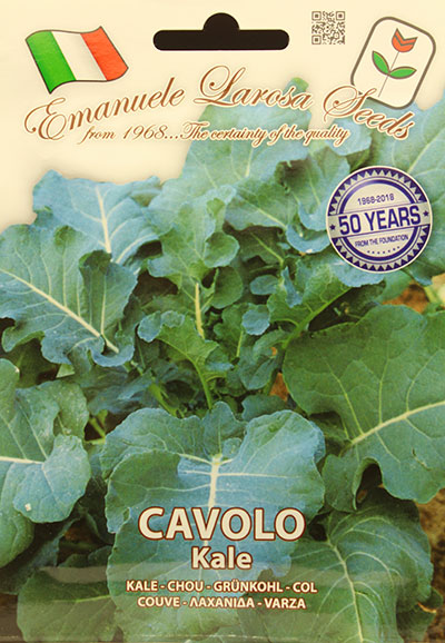 Chou Frisé ‘Cavolo’ / ‘Cavolo’ Kale - Pépinière