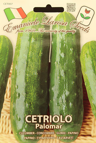 Concombre ‘Palomar’ / ‘Palomar’ Cucumber - Pépinière