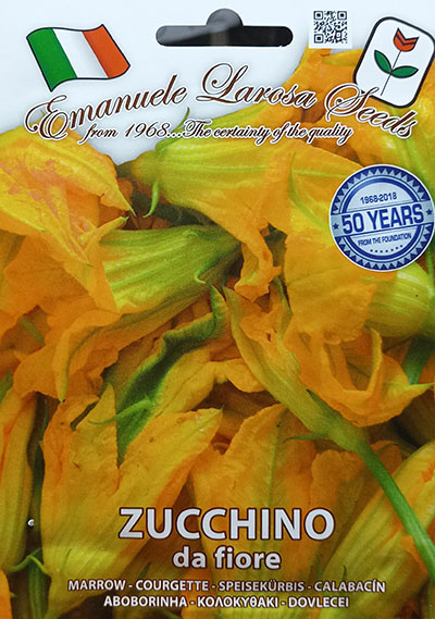 Courgette de Fleur / Flower Zucchini - Pépinière