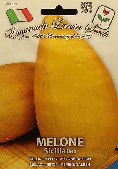 Melon Jaune ‘Siciliano’ / Yellow Melon ‘Siciliano’ - Pépinière