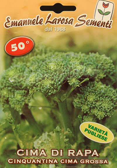 Navet à Jet Verd 50 jours / 50 Days Broccoli Raab - Pépinière