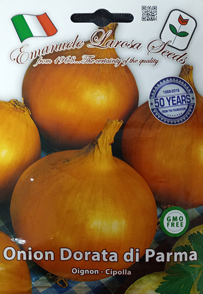 Oignon ‘Dorata di Parma’ / ‘Dorata di Parma’ Onion - Pépinière