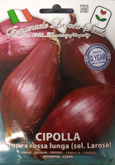 Oignon ‘Red Tropea Lunga Select’ / ‘Red Tropea Lunga Select’ Onion - Pépinière