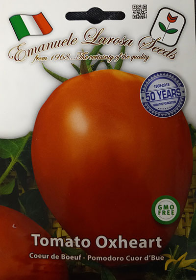 Tomate Coeur de Boeuf / Oxhearth Tomato - Pépinière