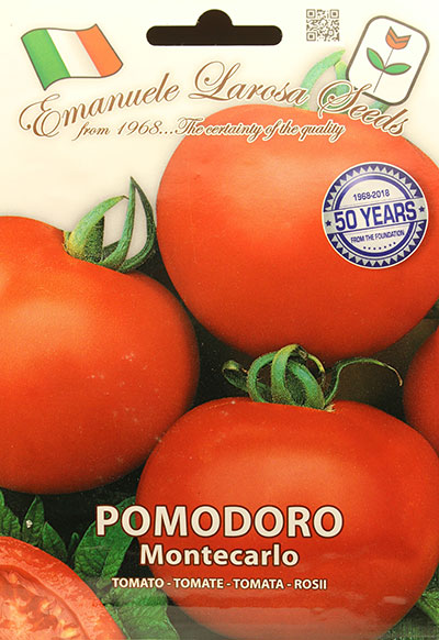 Tomate ‘Montecarlo’ / ‘Montecarlo’ Tomato - Pépinière