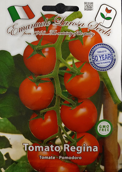 Tomate ‘Regina’ / ‘Regina’ Tomato - Pépinière