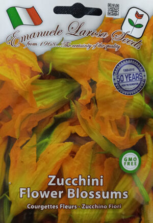 Zucchini ‘Flower Blossums’ / ‘Flower Blossums’ Zucchini - Pépinière