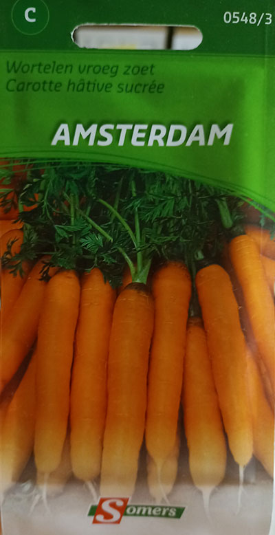 Carotte Hâtive Sucrée ‘Amsterdam’ / ‘Amsterdam’ Sweet Early Carrot - Pépinière