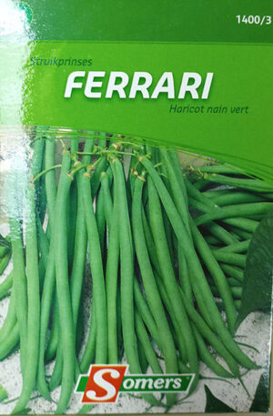 Haricot ‘Ferrari’ / ‘Ferrari’ Bean - Pépinière