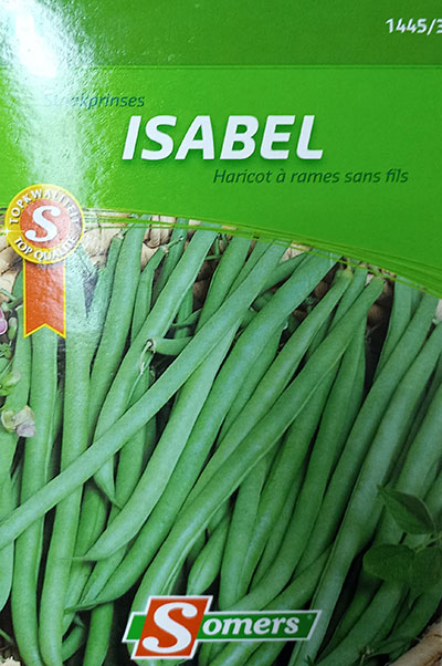 Haricot ‘Isabel’ / ‘Isabel’ Bean - Pépinière