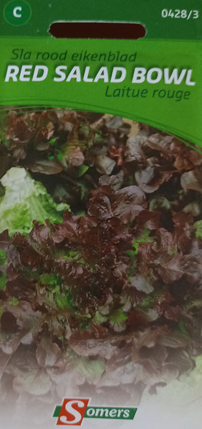 Laitue Rouge ‘Red Salad Bowl’ / ‘Red Salad Bowl’ Red Lettuce - Pépinière