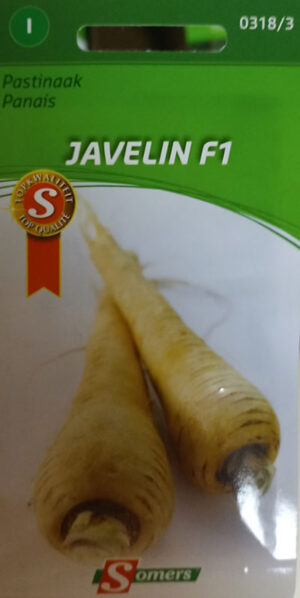 Panais ‘Javelin’ F1 / ‘Javelin’ Parsnip F1 - Pépinière