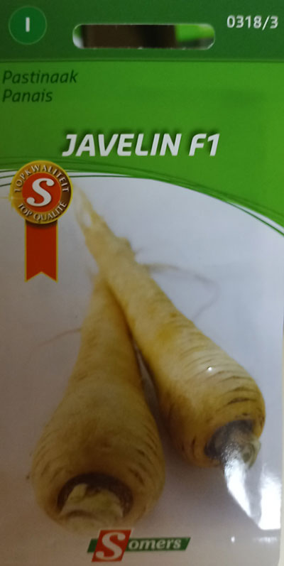Panais ‘Javelin’ F1 / ‘Javelin’ Parsnip F1 - Pépinière