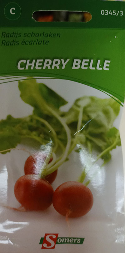 Radis Écarlate ‘Cherry Belle’ / ‘Cherry Belle’  Scarlet Radish - Pépinière