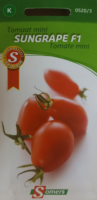 Tomate Mini ‘Sungrape’ F1 / ‘Sungrape’ Mini Tomato F1 - Pépinière