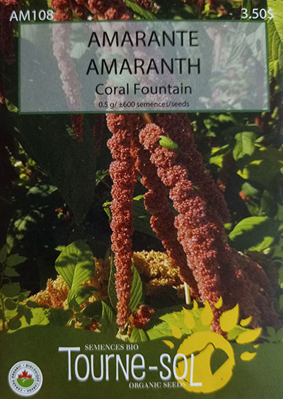 Amaranthe ‘Coral Fountain’ / ‘Coral Fountain’ Amaranth - Pépinière