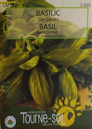 Basilic de Genes Bio / Genovese Basil Bio - Pépinière